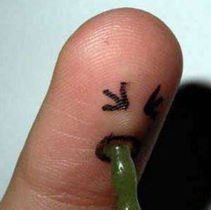 Meet your Posher, Bobbi